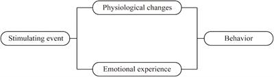 Development and initial validation of a clinical measure to assess symptoms of post-stroke depression in stroke patients at the rehabilitation stage